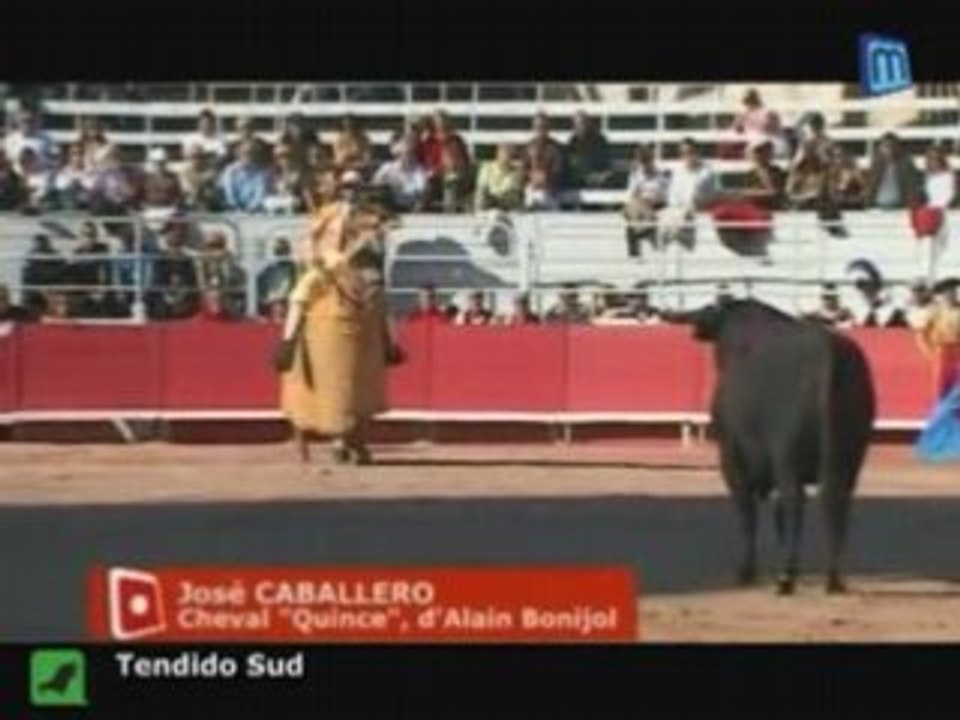 Tauromachie : Arles- Feria du Riz, Morceaux choisis 1