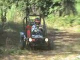 buggy 110 cc