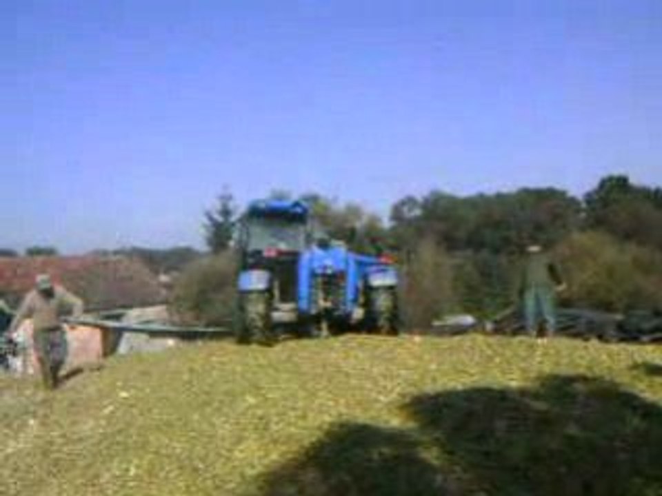 tasage de l'ensilage