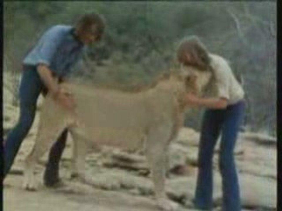 Christian the Lion - the full story (in HQ)