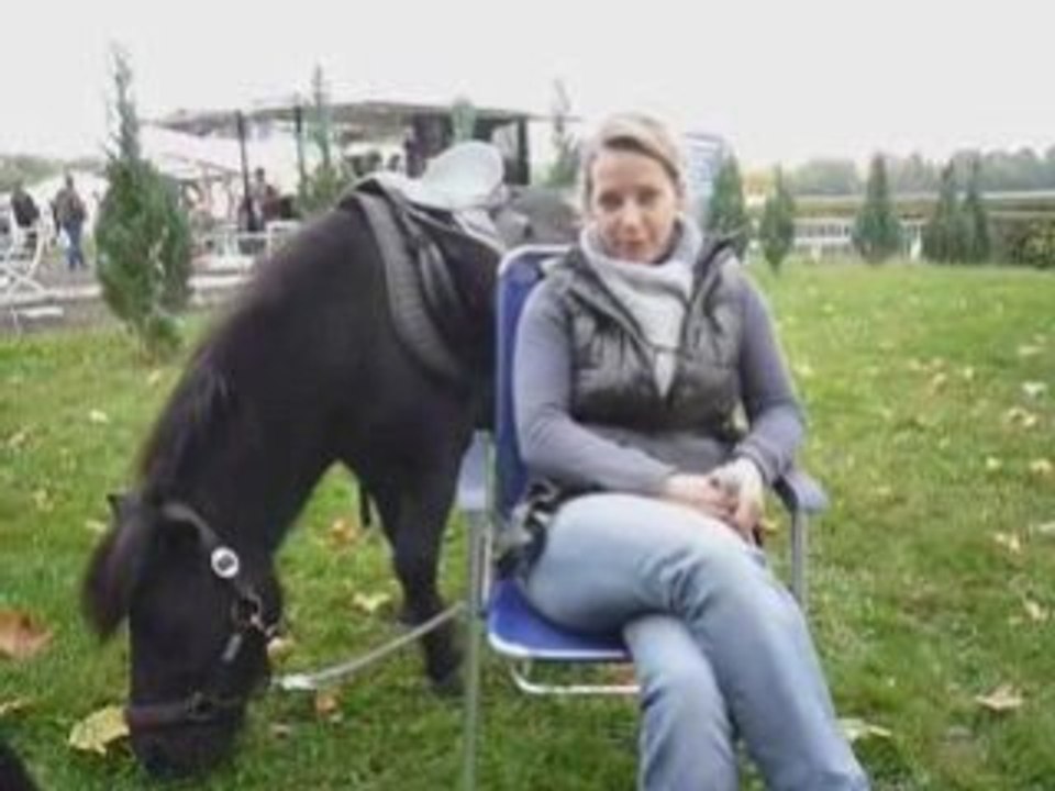 Pony reiten in Leipzig