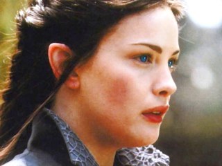 Many Meetings and Lothlorien