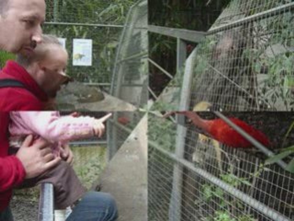 20 au 27.09.08 Vacances dans les Pyrénées !!