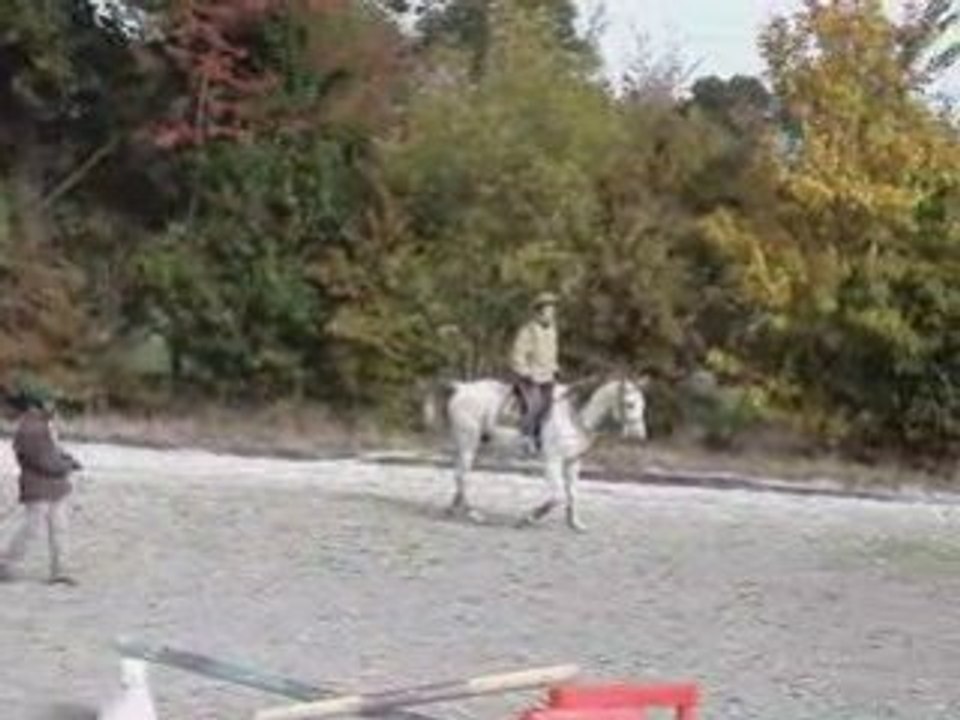 Séance du 4 octobre 2008