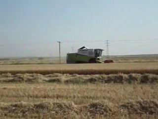 claas medıon 310