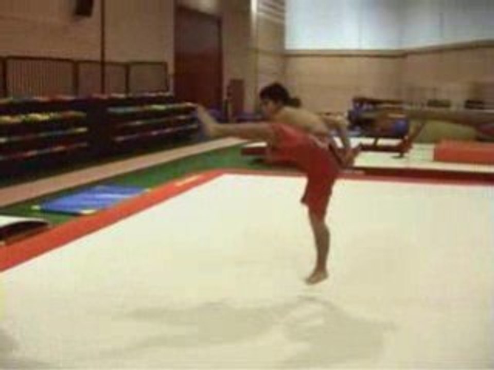 Sampler Quickflips & Canary Power