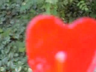 Séquence humour : HaHaHaHa.