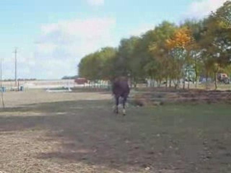Galilée et pakdor