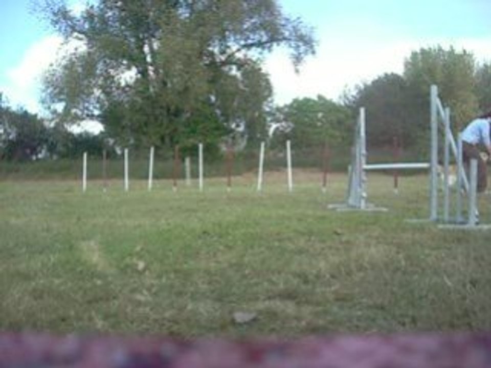 Slalom agility