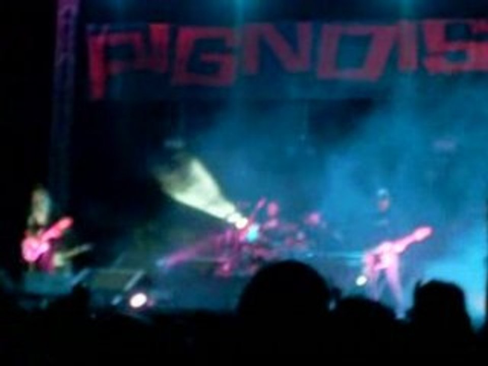 concert pig noise