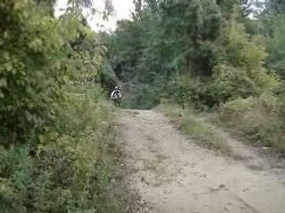 MOV02260