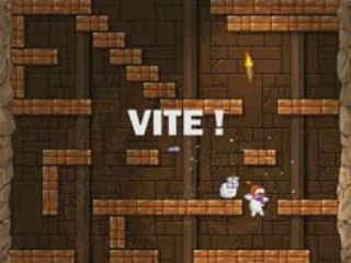 Petit waoulalu des bois