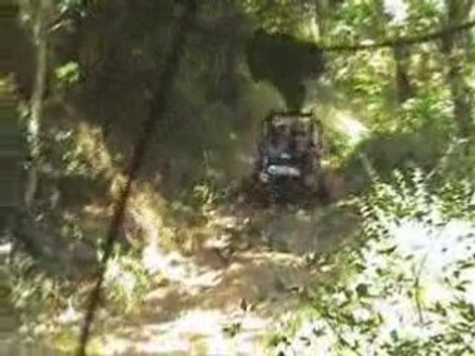 buggy en foret