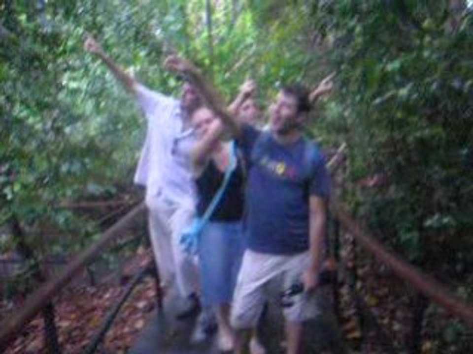 Parc botanique1  - Singapour