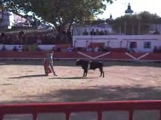 Demi finale graine de torero 2008: Générac