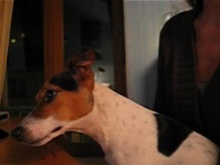 Daïa regarde ses amis en vidéos...