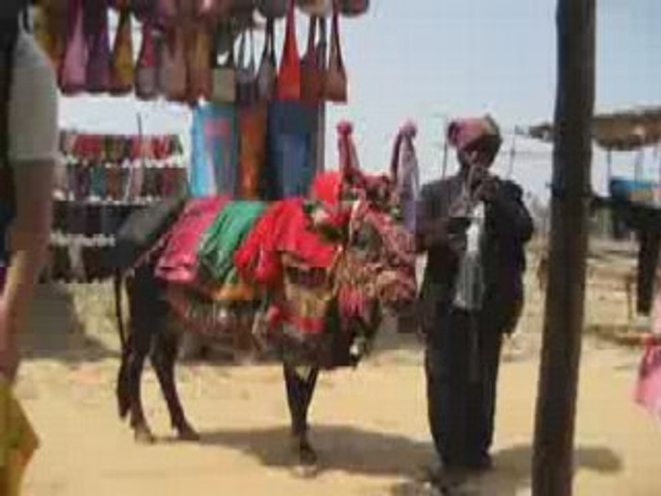 Incredible india (trailer)