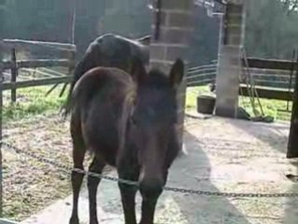 CLIP0234