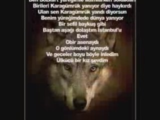 ULKUCU BIR KIZ SEVDIM