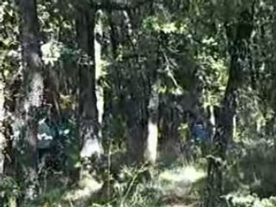 PaintBall - Dimanche 28 Sept 2008