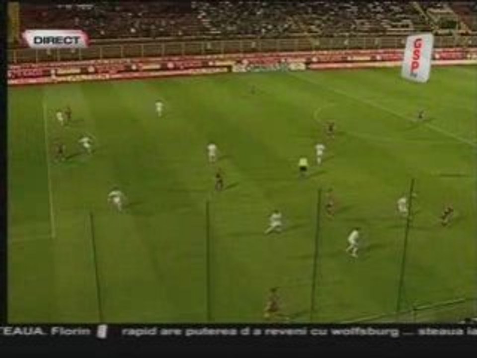 2-2 Pinto anulat (Rap1-3Arg)