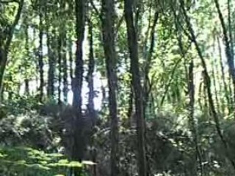 PaintBall - Dimanche 28 Sept 2008 (2)