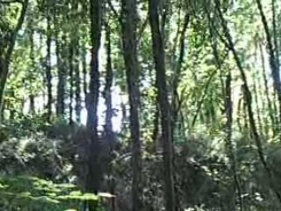 PaintBall - Dimanche 28 Sept 2008 (2)