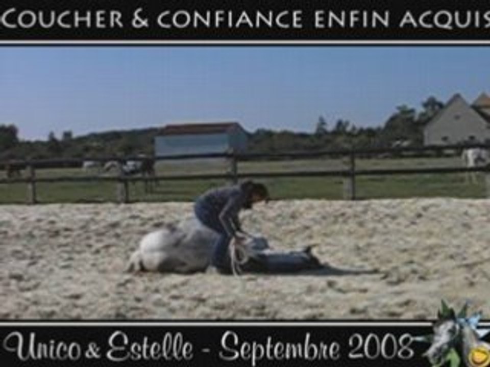 Unico, Sept. 2008, au coucher