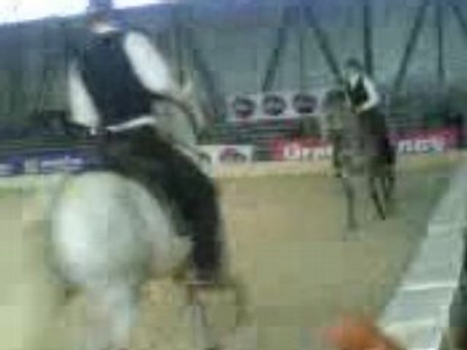 chevalissimo 2008