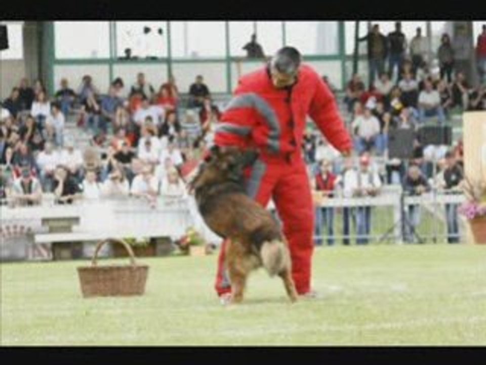 VIRUS DU MUSHER AU CHAMPIONNAT DE FRANCE 2008 LE TOUQUET