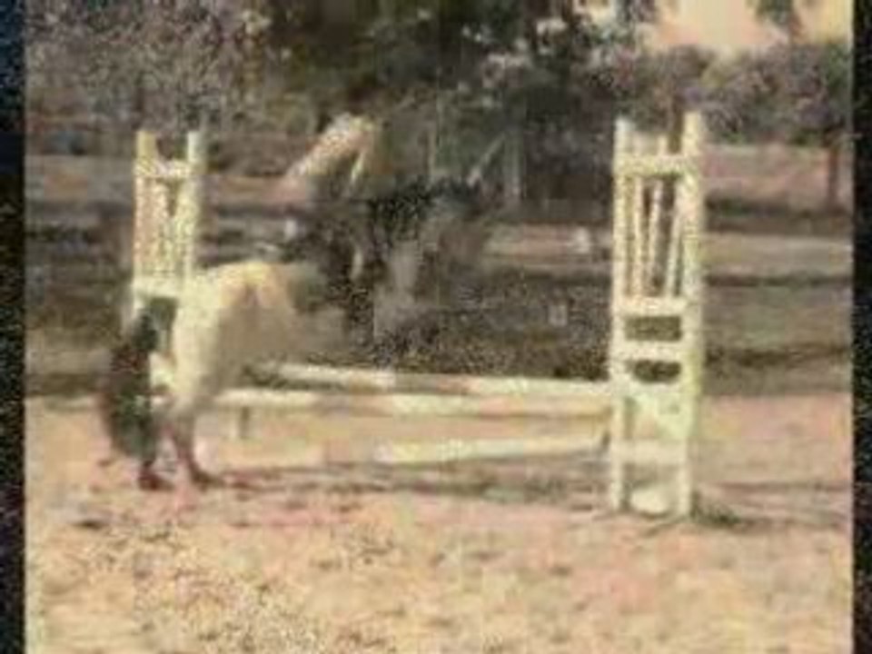 Parcours de CSO Pil Poil et Moi !