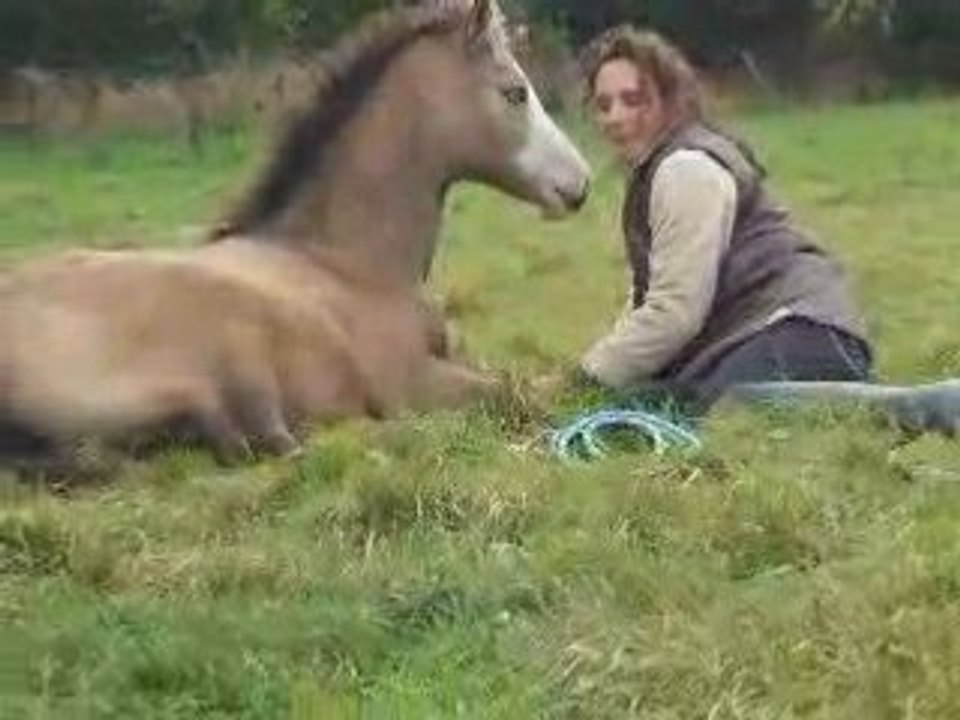 Ultima et moi