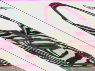 New Zebra Print Handbags