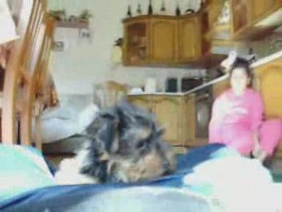 Chappy