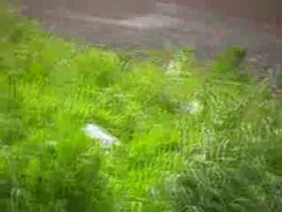 20081004_173208