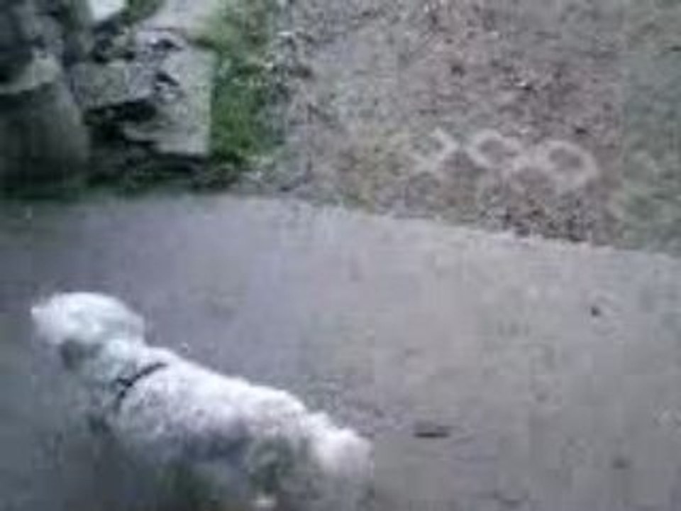 Mes louloutes chez Lisette et Prince