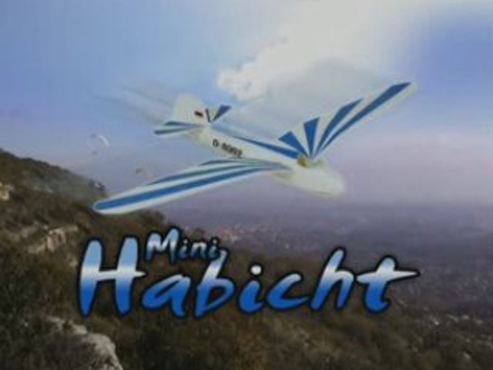 Mini Habicht