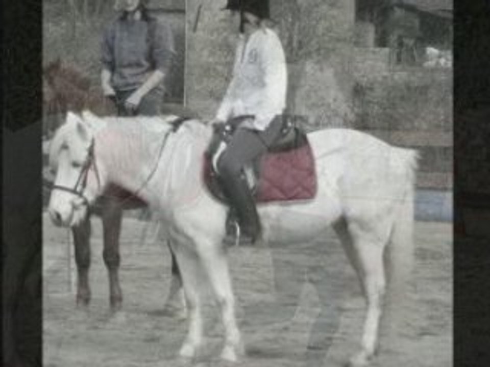 Kamille (L)