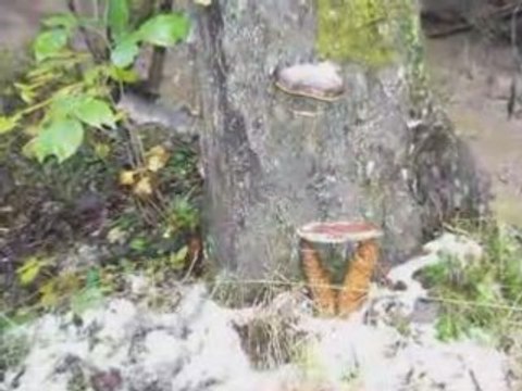 rando avec le popo *