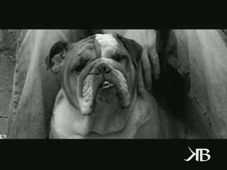 Kroc Blanc : Par rapport à ça...