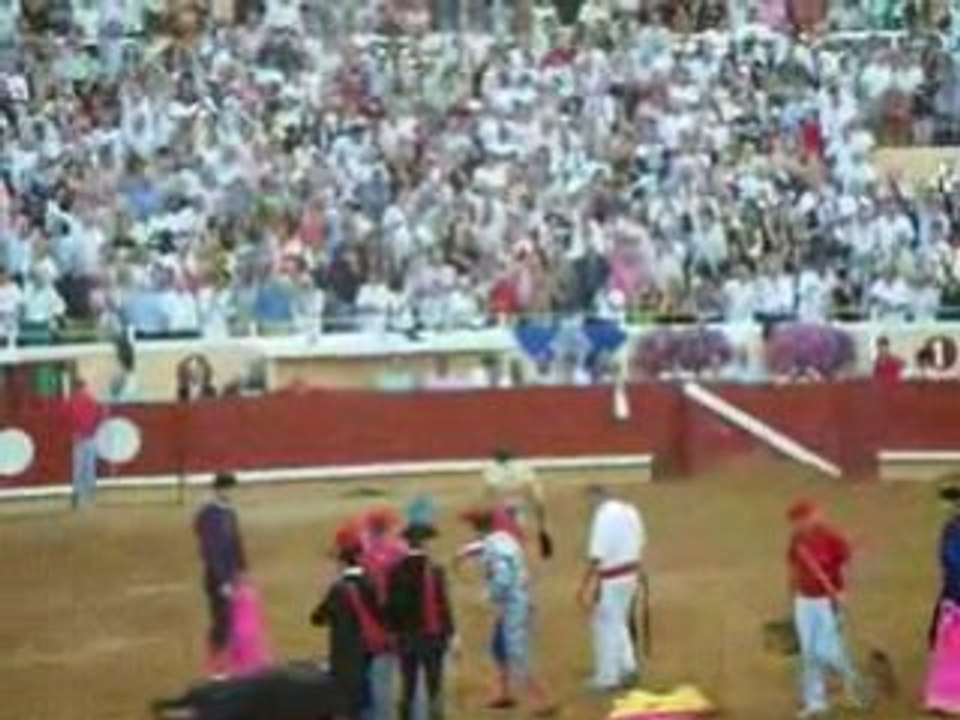 corrida de Bayonne 31 08 08  , mise a mort par EL CID !