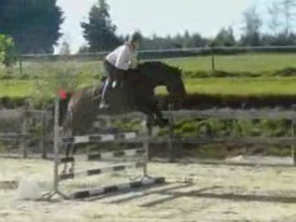 séance saut MLS