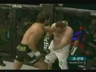 Andrei Arlovski vs Roy Nelson video