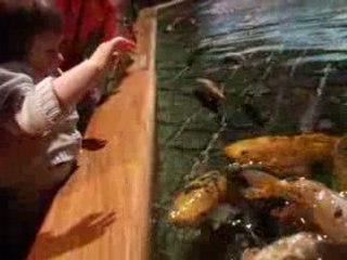 Video 103 - 29 septembre 2008