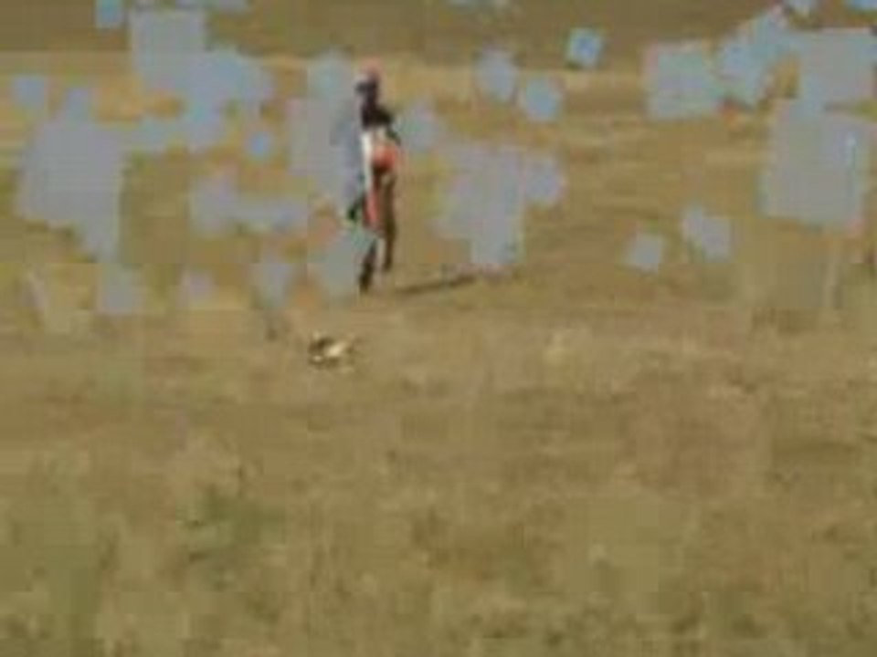 Pti weeling alex et charly cross sniper