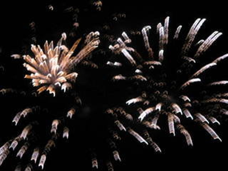 Happy Birthday Annie