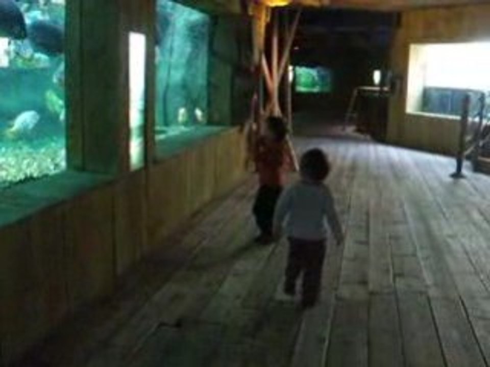 Video 105 - 29 septembre 2008