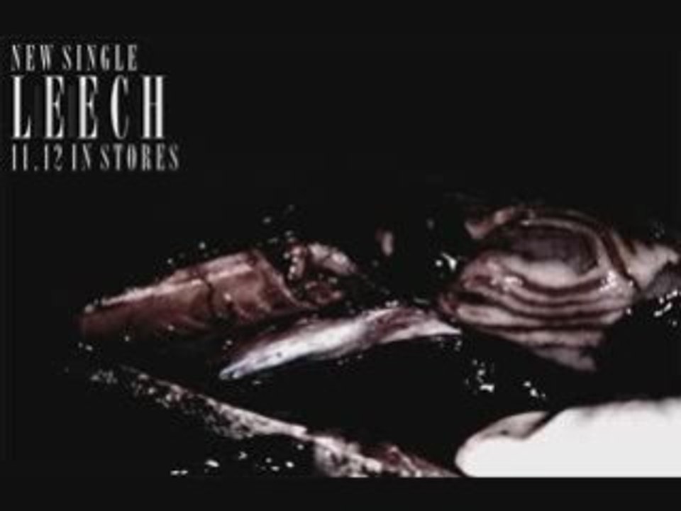 Leech GazettE new single!!