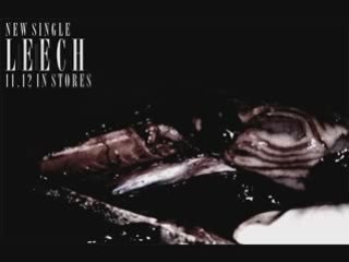 Leech by GazettE: New Single Release