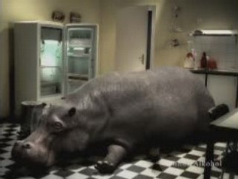 [FUNNY] REGIS Touche pas ma Biere [Goodspeed]